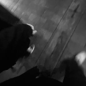 小仙女AV资源导航
